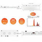Pro300 Full Body Red & Near-Infrared Light Panel | 4 Wavelengths, 300 LEDs, Modular At-Home Design